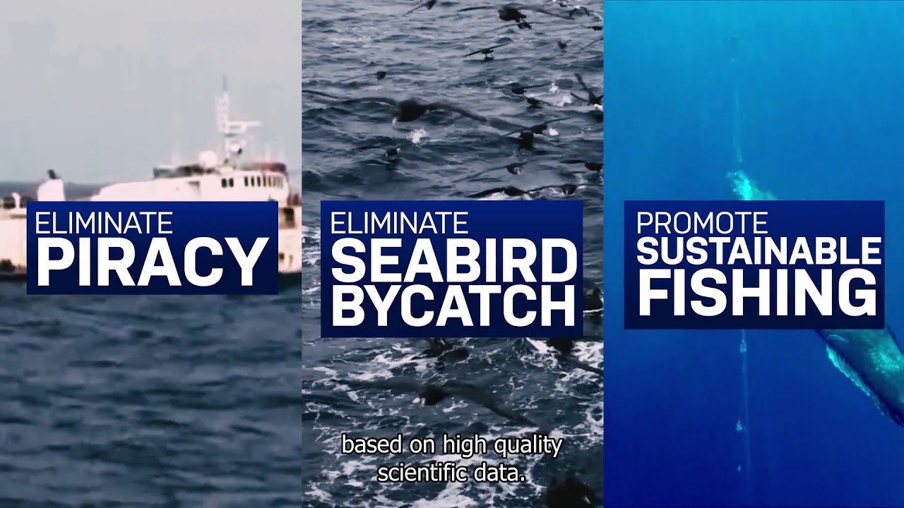 Colto Legacy | From Piracy to Providence