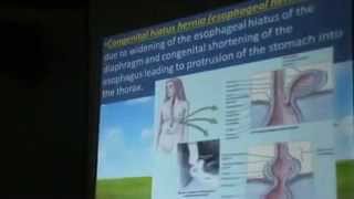 Dr Sherif Zaki Embryology (3) 30-4-2014