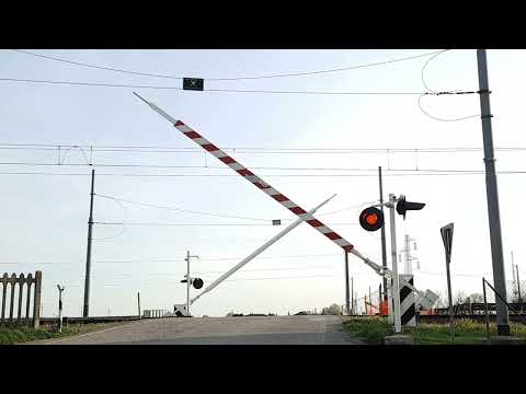 PL Italia - Ferrara - Via XVI Marzo