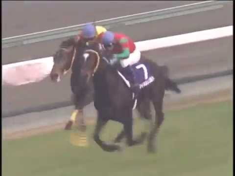 マイネルレコルト　朝日杯FS（Asahi Hai Futurity Stakes） 2004年　競馬G1