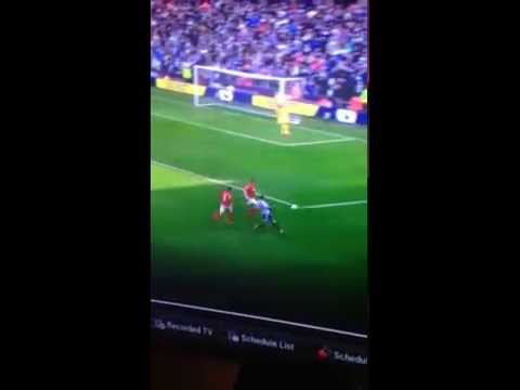 Morgan Amalfitano Amazing Goal - West Brom vs Cardiff 29.03.2014