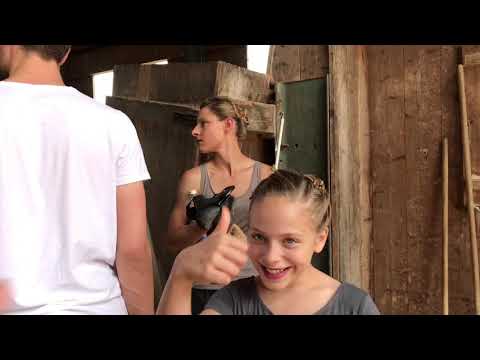 Oberland 1 | VLog Showauftritt beim Pfingstturnier des Reitclubs Steinsee 10. Juni 2019