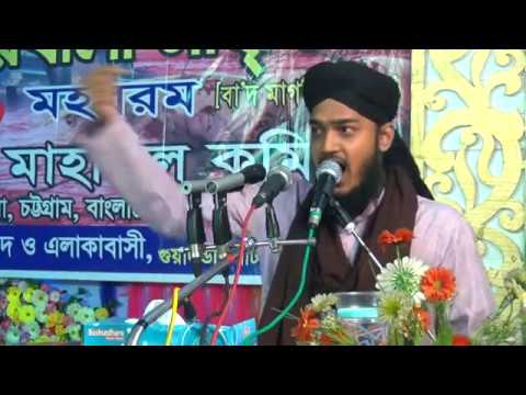Amazing new bangla waz 1,Sayed Mokarram Bari, 01781782547, darbare baria sharif,
