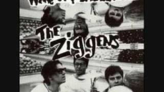 The Ziggens - Really Bad Sunburn