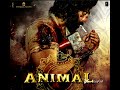 Arjan Vally Song Animal Movie Song Hit Bollywood Song Best Song Of 2023 Ranveer Kapoor Song