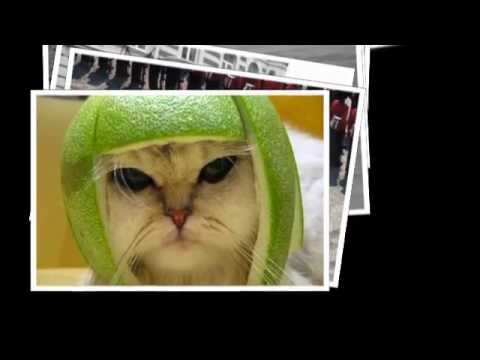 MisjMasj-Veur de res geit alles good!! LVK 2012.m4v