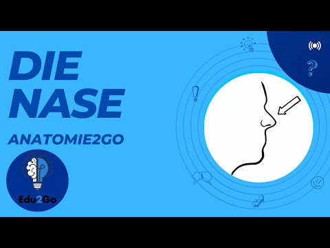 Deine NASE hilft dir, keine Krämpfe während des Schlafes zu bekommen | Anatomie2Go