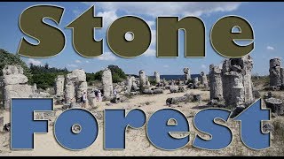 preview picture of video 'Stone Forest - Pobiti Kamani, Bulgaria'