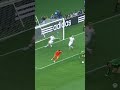 Wesley Sneijder wizardry ?