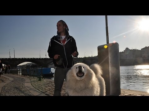 MALYMAN - Já a moje já (Official music video)