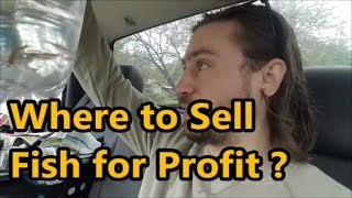 Fish For Profit / Selling Fish Locally / Fish Club meetup