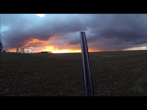 2017/01/28 - Estate Walk-Up