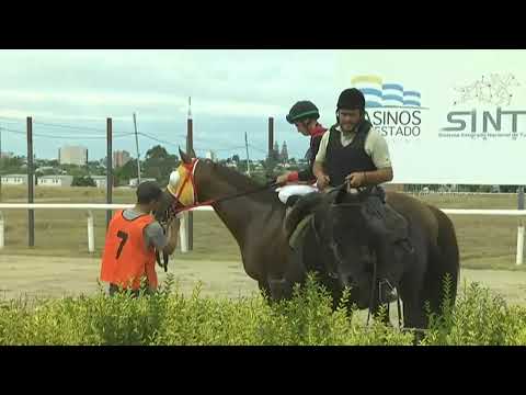 SINT FLORIDA 230216 c03 1° MARLON BRANDO