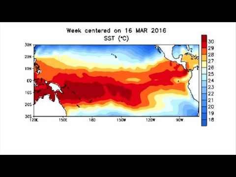 Saturday's Look Ahead Round-up (21/5/16)