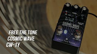 Video thumbnail for Free The Tone COSMIC WAVE / CW-1Y　MULTIPLE FILTERING DELAY by FreeTheToneMovie