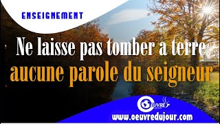 Ne laisse pas tomber a terre aucune parole du seigneur
