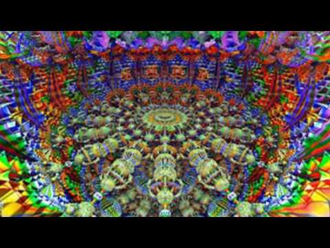 Fox Man - Perchland ( Live Korg Esx )