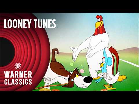 Looney Tunes | Classic Foghorn Leghorn Mega Compilation | Vol. 2 | Warner Classics