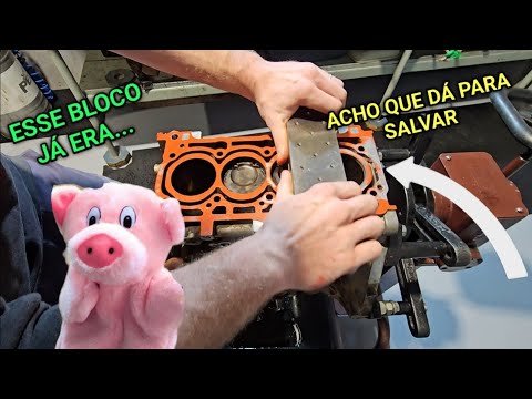 SAGA TORO #2 TENTANDO SALVAR O BLOCO.