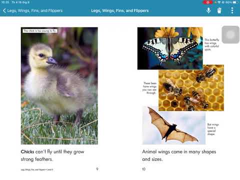 LEGS WINGS FINS AND FLIPPERS