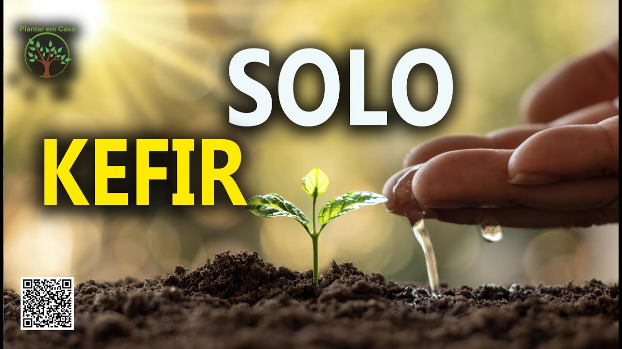 Qualidade no Plantio EM Microrganismos Eficazes para seu Solo