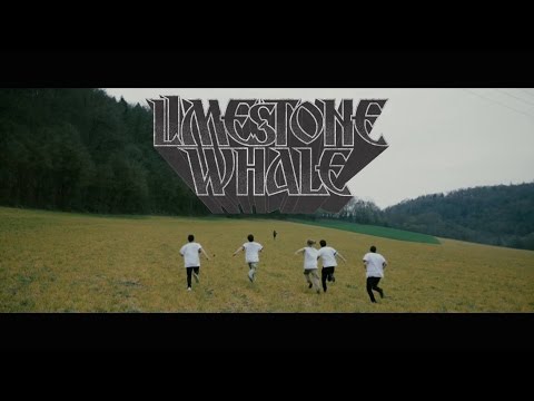 Limestone Whale - Paralyzed in Paradise (official video)