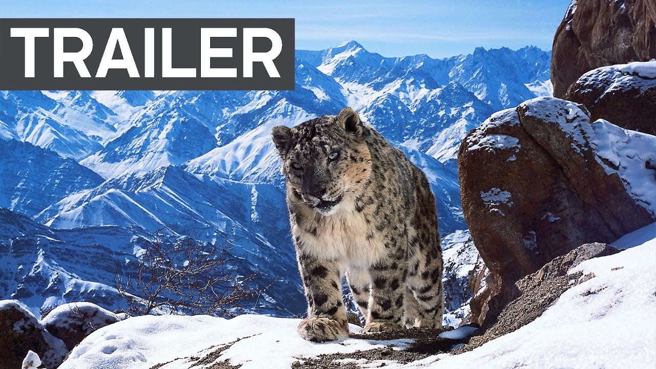 Planet Earth II: Official Extended Trailer | BBC Earth - YouTube