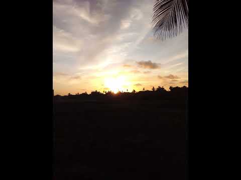 Rodrigo Sater - Ordem natural das coisas