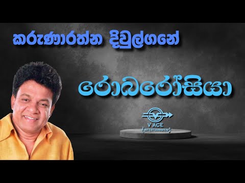 Robarosiya Hewane Idan | රොබරෝසියා - Karunarathna Divulgane | Original Music
