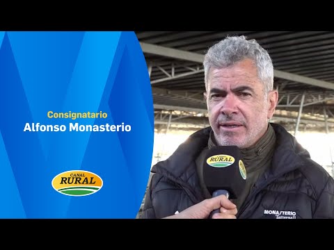 Alfonso Monasterio | Monasterio Tattersall SA | 11/11/25 | MV