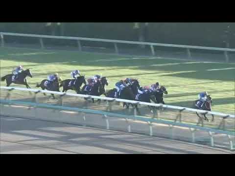 2019.12.28 Hopeful Stakes (JPN) - Contrail