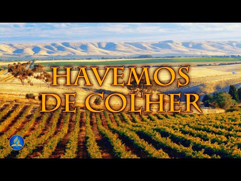 Hinário Adventista 312 - HAVEMOS DE COLHER