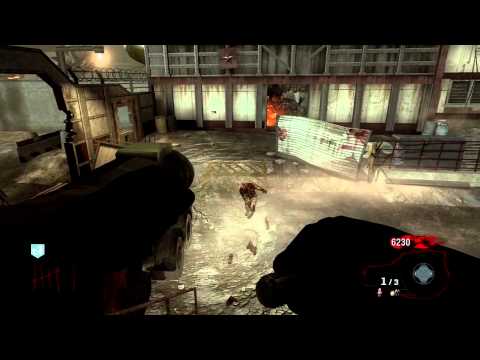 CoD:BO Zombies - How To Make Monkeys Not Come On Ascension [2/4]
