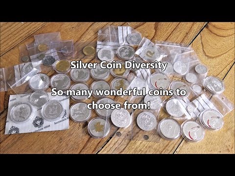 The diversity of silver coins in incredible - So many to choose from!?!?