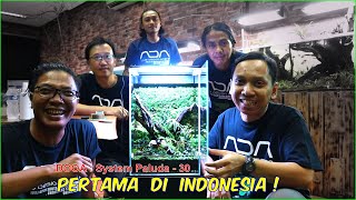 Setting Paludarium/Terrarium 30cm | DOOA System Paluda-30 | Bersama Dino Nurdiansyah dan O2 Aquatic