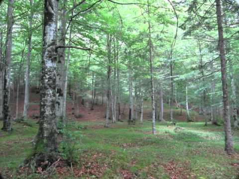 Altavia numero 6 - Tappa 6