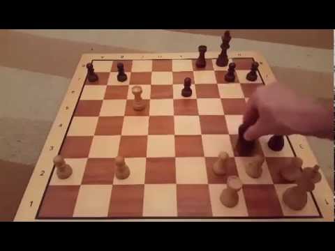 Best move in chess history  Levitsky   Marshall 1912