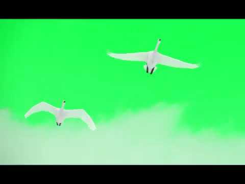 GOA  Doof   Let's Turn On 1996