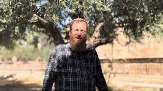 אזכרה ליצחק וטליה אימס הי״ד | ר׳ אסף לרנר (ישיבת הר הבית) - התמונה מוצגת ישירות מתוך אתר האינטרנט יוטיוב. זכויות היוצרים בתמונה שייכות ליוצרה. קישור קרדיט למקור התוכן נמצא בתוך דף הסרטון אזכרה ליצחק וטליה אימס הי״ד | ר׳ אסף לרנר (ישיבת הר הבית) - התמונה מוצגת ישירות מתוך אתר האינטרנט יוטיוב. זכויות היוצרים בתמונה שייכות ליוצרה. קישור קרדיט למקור התוכן נמצא בתוך דף הסרטון