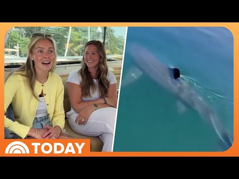 2 Sharks Make Surprise Appearance at Bachelorette Boat Party