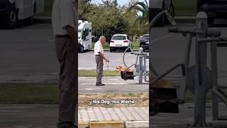 Just an old man and his dog💕#dog #dogs #doglove #love #oldpeople #shortvideo