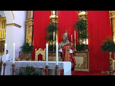 Eucaristía Domingo de ramos | parroquia nuestra señora del Rosario| Río de oro Cesar 2026