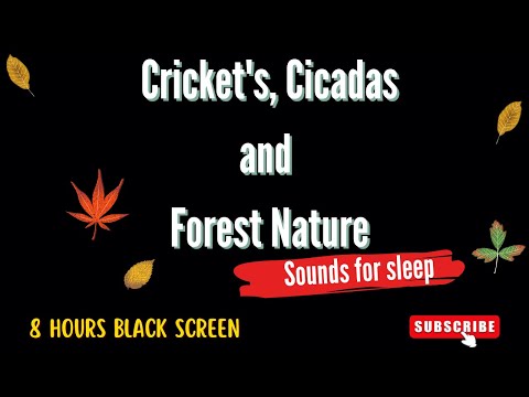 Pure Sounds at Night - Crickets, Cicadas, Insects I 8 Hours  BLACK SCREEN