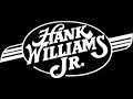 Hank Williams Jr & Waylon Jennings - The Conversation (Lyrics on screen)