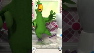 weird parrot funny video | talking parrot | Dancing parrot #funnyvideo #shorts #ytshorts