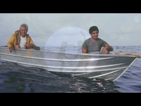 Haku Tino E - PetuGrace