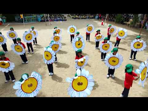 AMALA  N/P | DPI | Flower Drill