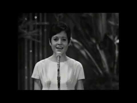 Anna Identici - Una rosa da Vienna (Sanremo 1966: Final)