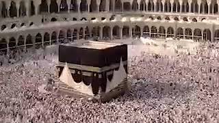 مقطع مميز « لبيك اللهم لبيك » الشيخ محمد حسين يعقوب image