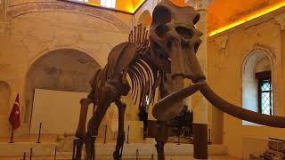 Burdur Doğa Tarih Müzesi